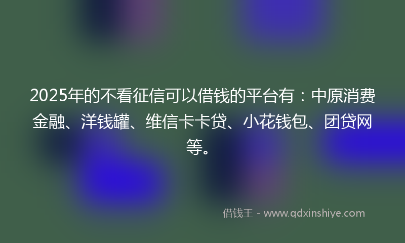 2025年的不看征信可以借钱的平台有：中原消费金融、洋钱罐、维信卡卡贷、小花钱包、团贷网等。