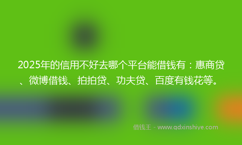 2025年的信用不好去哪个平台能借钱有：惠商贷、微博借钱、拍拍贷、功夫贷、百度有钱花等。