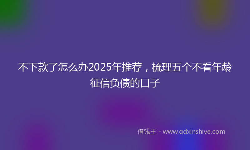 不下款了怎么办2025年推荐，梳理五个不看年龄征信负债的口子