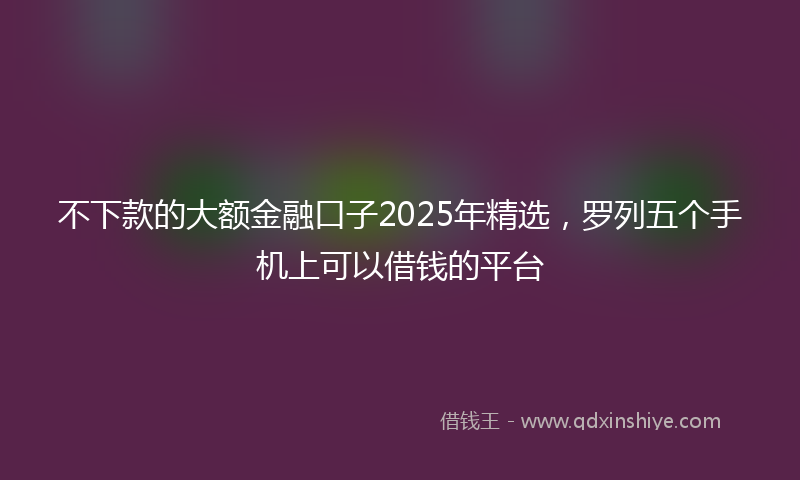 不下款的大额金融口子2025年精选，罗列五个手机上可以借钱的平台