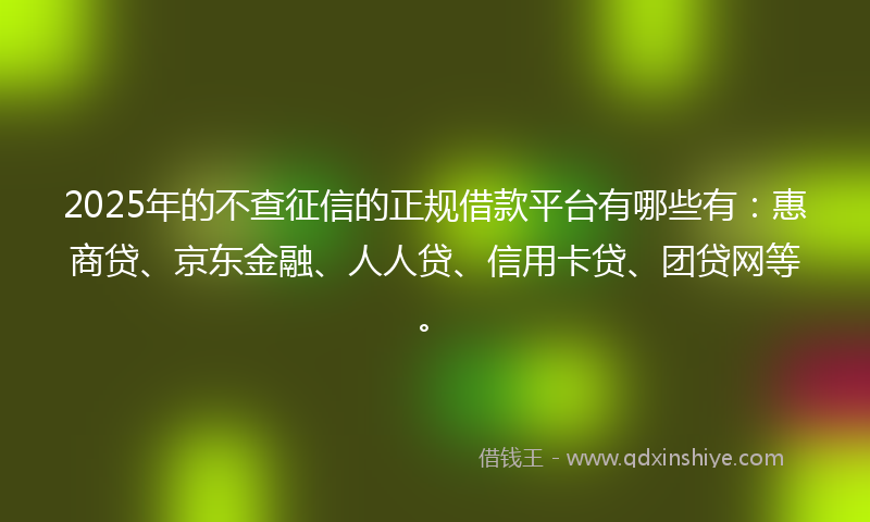 2025年的不查征信的正规借款平台有哪些有：惠商贷、京东金融、人人贷、信用卡贷、团贷网等。