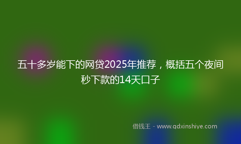 五十多岁能下的网贷2025年推荐，概括五个夜间秒下款的14天口子