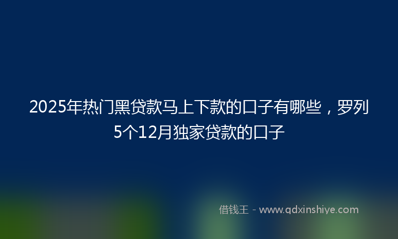 2025年热门黑贷款马上下款的口子有哪些，罗列5个12月独家贷款的口子