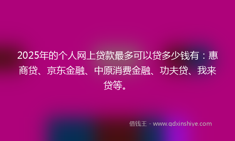 2025年的个人网上贷款最多可以贷多少钱有：惠商贷、京东金融、中原消费金融、功夫贷、我来贷等。