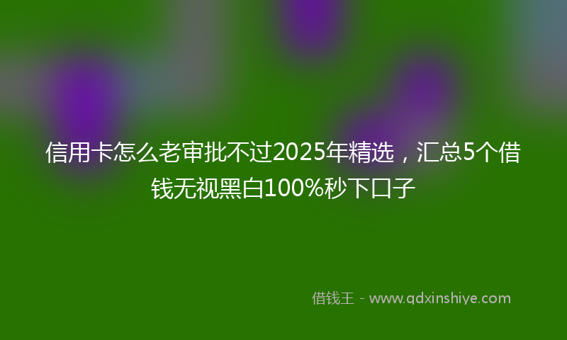 信用卡怎么老审批不过2025年精选，汇总5个借钱无视黑白100%秒下口子