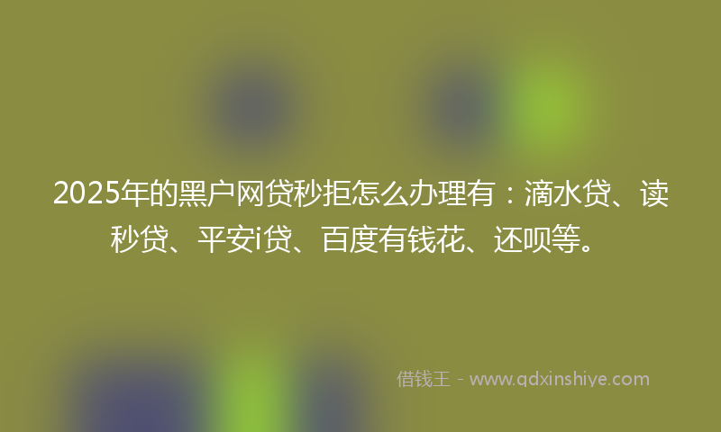 2025年的黑户网贷秒拒怎么办理有：滴水贷、读秒贷、平安i贷、百度有钱花、还呗等。