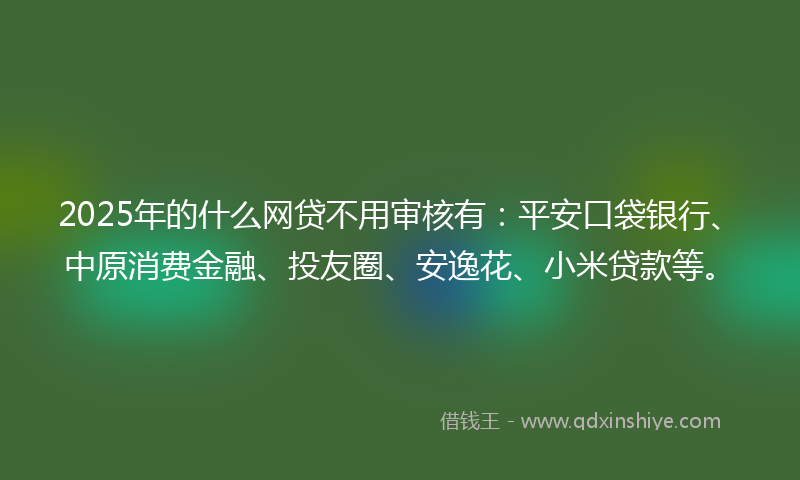 2025年的什么网贷不用审核有：平安口袋银行、中原消费金融、投友圈、安逸花、小米贷款等。