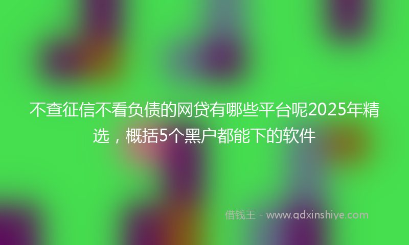 不查征信不看负债的网贷有哪些平台呢2025年精选，概括5个黑户都能下的软件