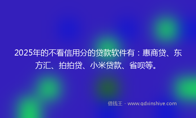 2025年的不看信用分的贷款软件有：惠商贷、东方汇、拍拍贷、小米贷款、省呗等。