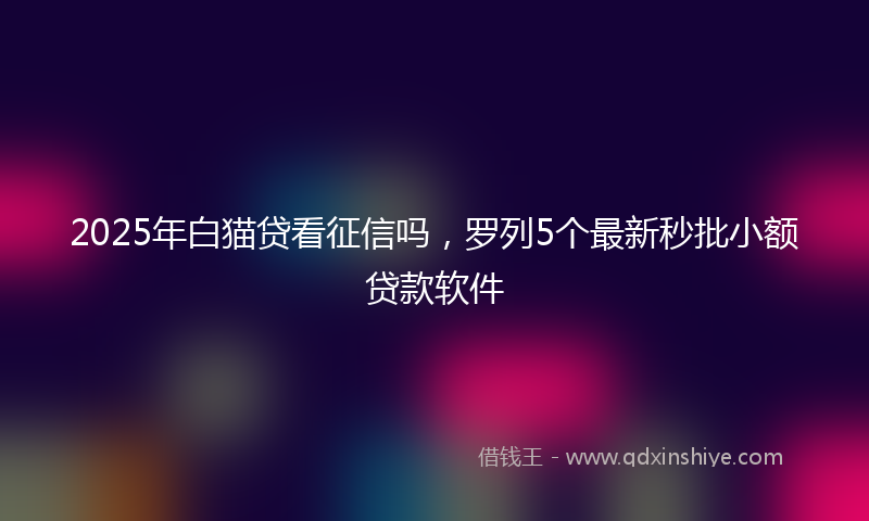 2025年白猫贷看征信吗，罗列5个最新秒批小额贷款软件