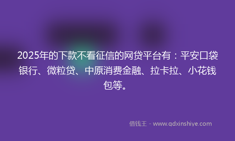 2025年的下款不看征信的网贷平台有：平安口袋银行、微粒贷、中原消费金融、拉卡拉、小花钱包等。