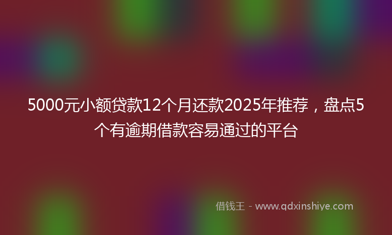 5000元小额贷款12个月还款2025年推荐，盘点5个有逾期借款容易通过的平台