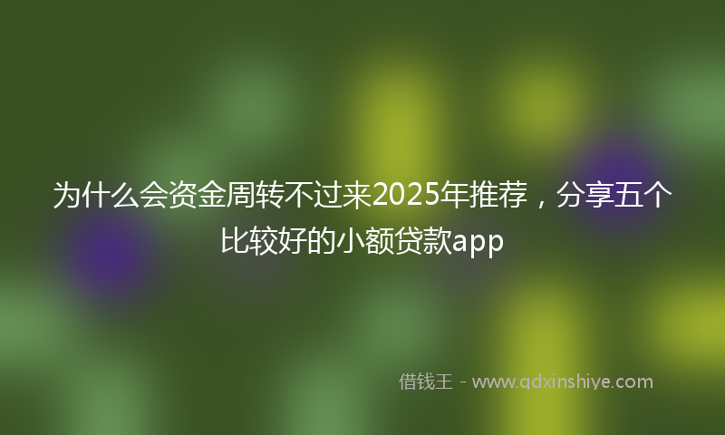 为什么会资金周转不过来2025年推荐，分享五个比较好的小额贷款app