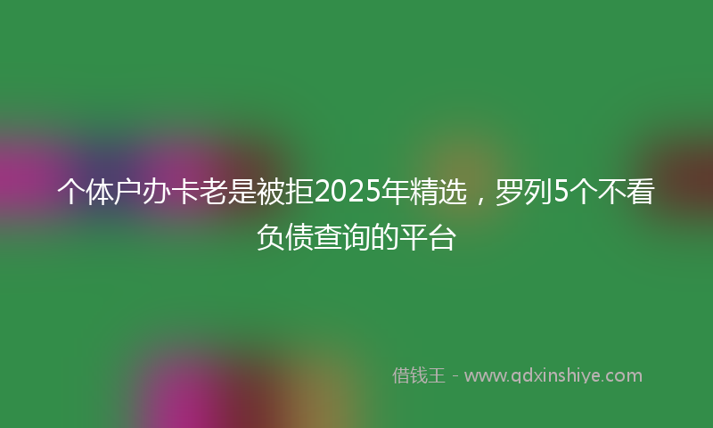 个体户办卡老是被拒2025年精选，罗列5个不看负债查询的平台