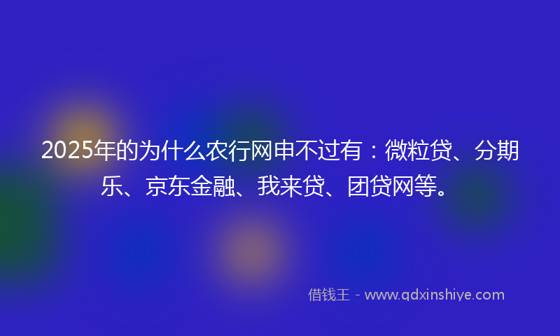 2025年的为什么农行网申不过有：微粒贷、分期乐、京东金融、我来贷、团贷网等。