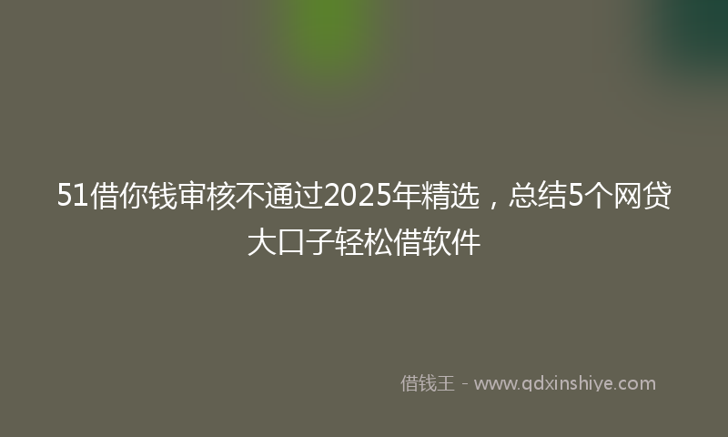 51借你钱审核不通过2025年精选，总结5个网贷大口子轻松借软件