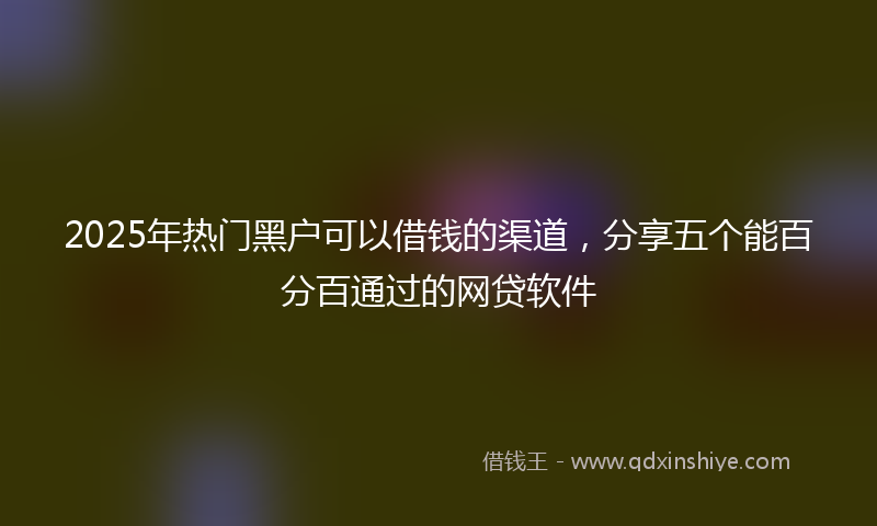 2025年热门黑户可以借钱的渠道，分享五个能百分百通过的网贷软件