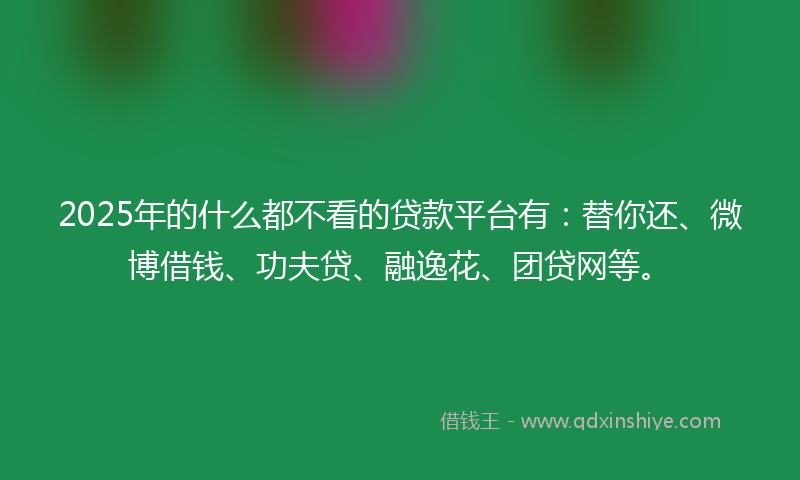 2025年的什么都不看的贷款平台有：替你还、微博借钱、功夫贷、融逸花、团贷网等。