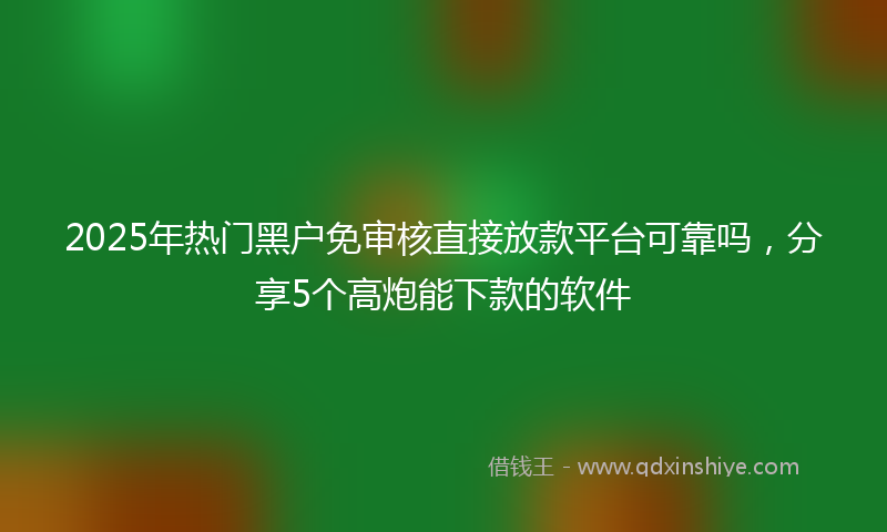 2025年热门黑户免审核直接放款平台可靠吗，分享5个高炮能下款的软件