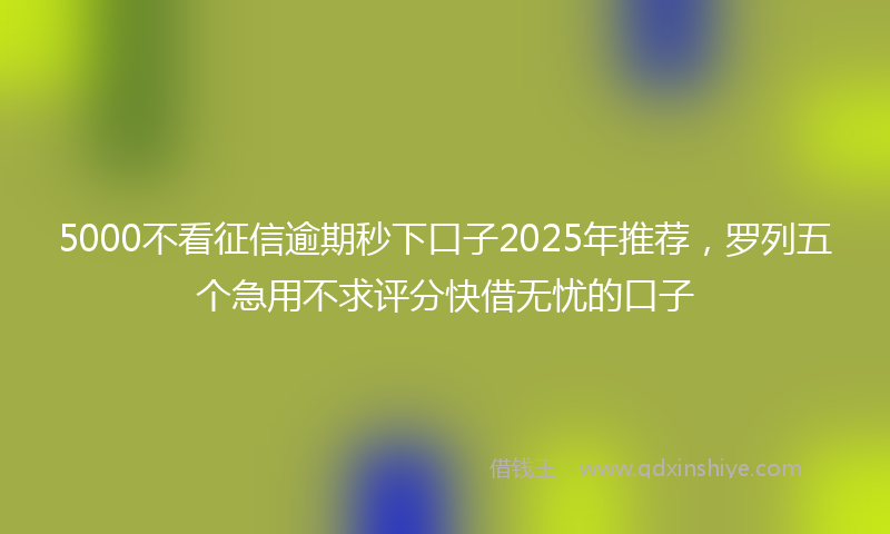 5000不看征信逾期秒下口子2025年推荐，罗列五个急用不求评分快借无忧的口子
