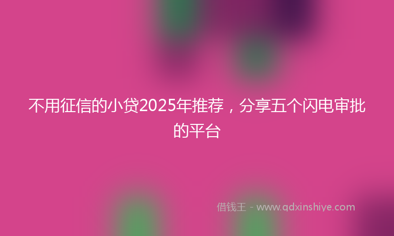 不用征信的小贷2025年推荐，分享五个闪电审批的平台