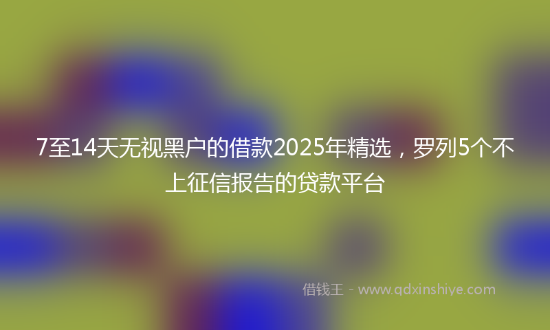 7至14天无视黑户的借款2025年精选，罗列5个不上征信报告的贷款平台