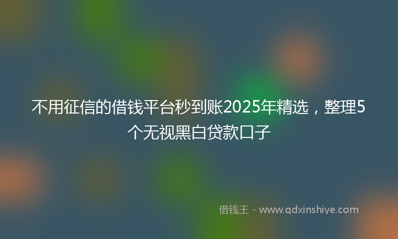 不用征信的借钱平台秒到账2025年精选，整理5个无视黑白贷款口子