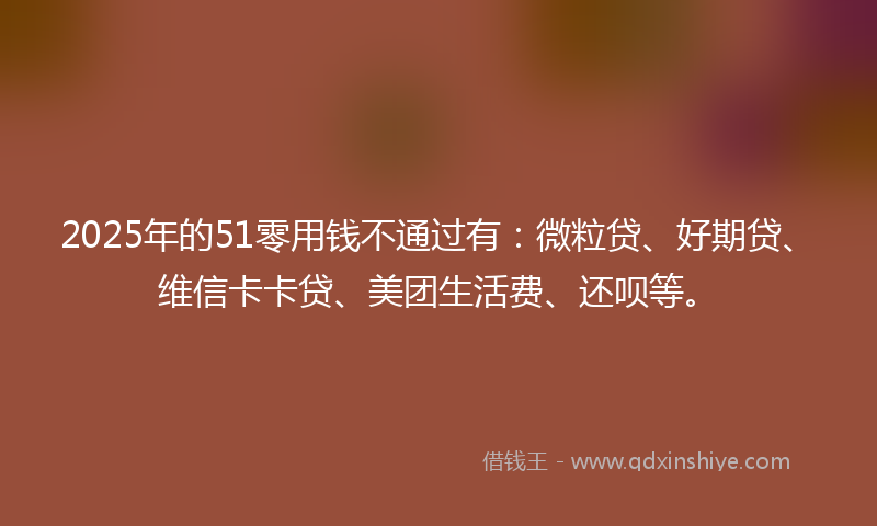 2025年的51零用钱不通过有：微粒贷、好期贷、维信卡卡贷、美团生活费、还呗等。