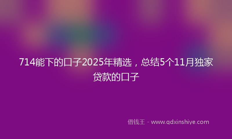 714能下的口子2025年精选，总结5个11月独家贷款的口子