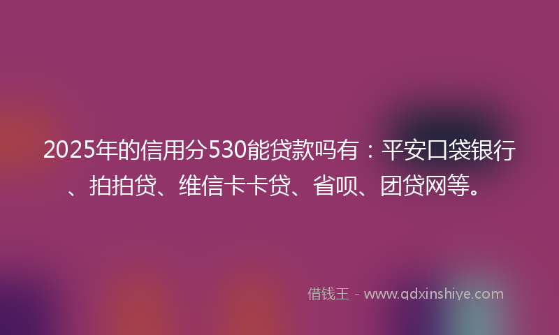 2025年的信用分530能贷款吗有：平安口袋银行、拍拍贷、维信卡卡贷、省呗、团贷网等。