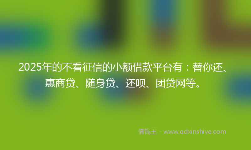 2025年的不看征信的小额借款平台有：替你还、惠商贷、随身贷、还呗、团贷网等。