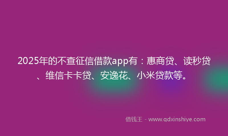 2025年的不查征信借款app有：惠商贷、读秒贷、维信卡卡贷、安逸花、小米贷款等。