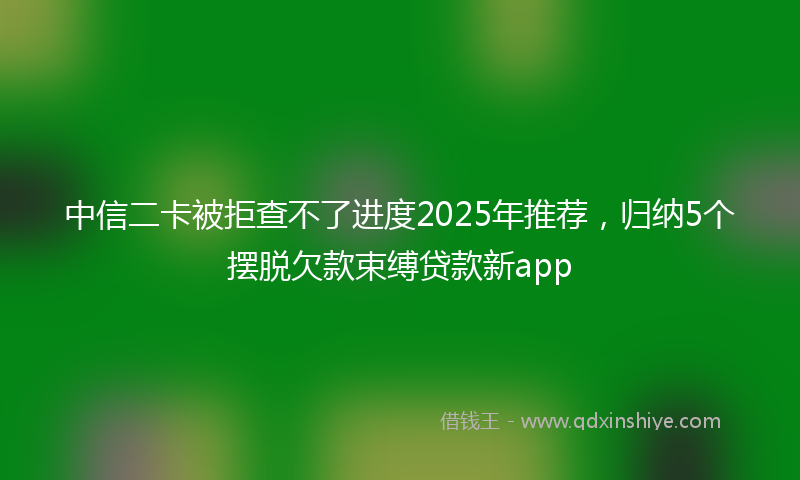 中信二卡被拒查不了进度2025年推荐，归纳5个摆脱欠款束缚贷款新app