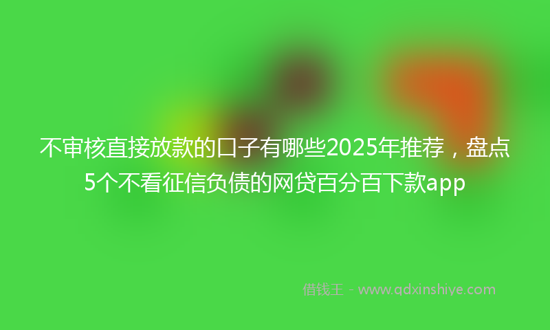 不审核直接放款的口子有哪些2025年推荐，盘点5个不看征信负债的网贷百分百下款app