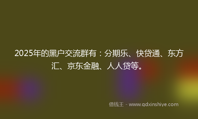 2025年的黑户交流群有：分期乐、快贷通、东方汇、京东金融、人人贷等。