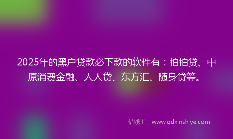 2025年的黑户贷款必下款的软件有：拍拍贷、中原消费金融、人人贷、东方汇、随身贷等。
