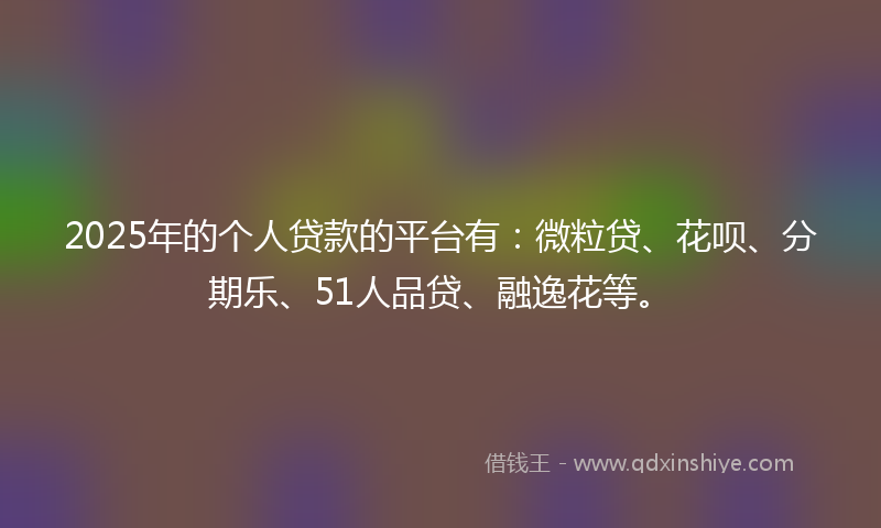 2025年的个人贷款的平台有：微粒贷、花呗、分期乐、51人品贷、融逸花等。