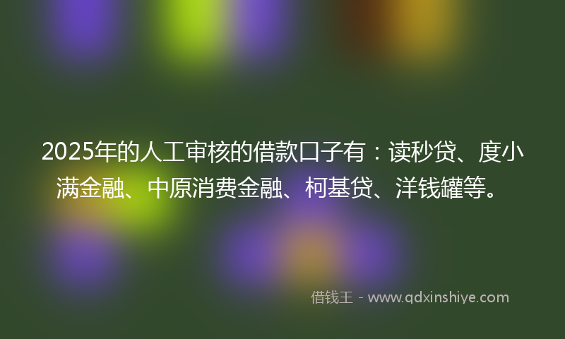 2025年的人工审核的借款口子有：读秒贷、度小满金融、中原消费金融、柯基贷、洋钱罐等。