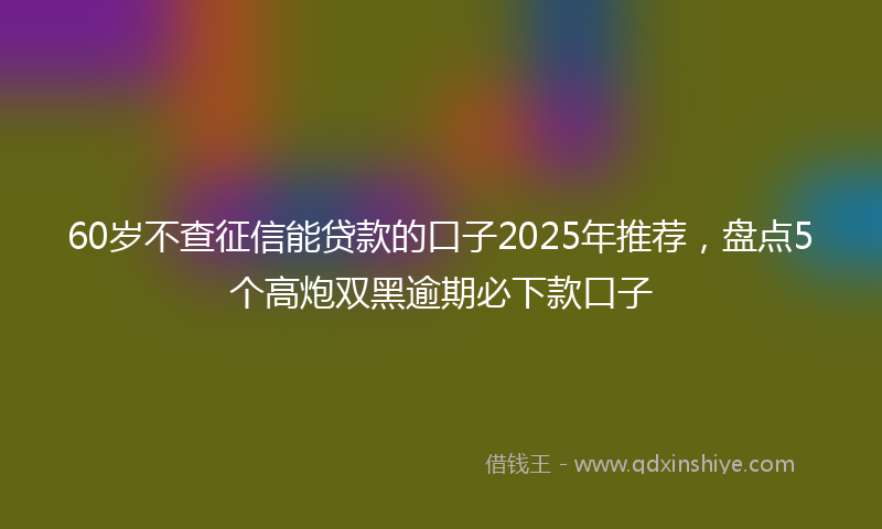 60岁不查征信能贷款的口子2025年推荐，盘点5个高炮双黑逾期必下款口子