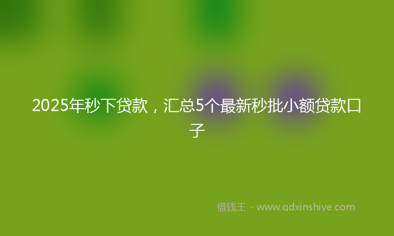2025年秒下贷款，汇总5个最新秒批小额贷款口子
