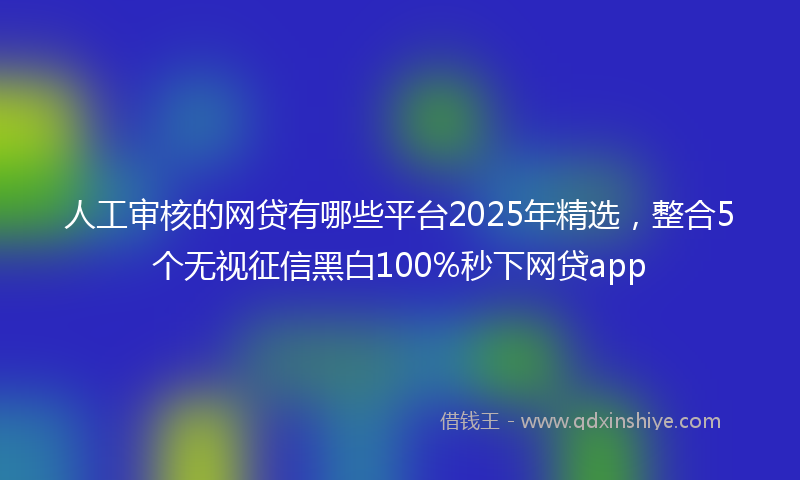 人工审核的网贷有哪些平台2025年精选，整合5个无视征信黑白100%秒下网贷app
