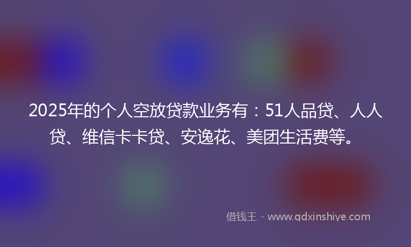 2025年的个人空放贷款业务有：51人品贷、人人贷、维信卡卡贷、安逸花、美团生活费等。