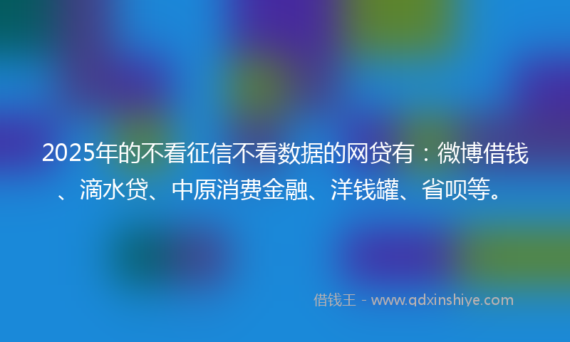 2025年的不看征信不看数据的网贷有：微博借钱、滴水贷、中原消费金融、洋钱罐、省呗等。