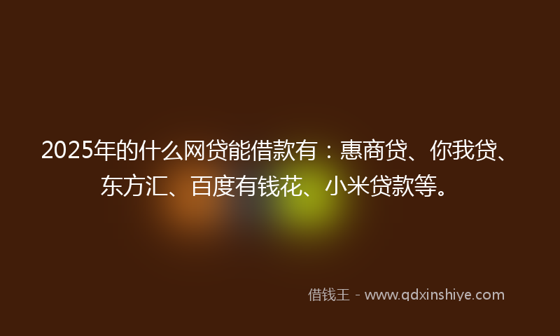 2025年的什么网贷能借款有：惠商贷、你我贷、东方汇、百度有钱花、小米贷款等。