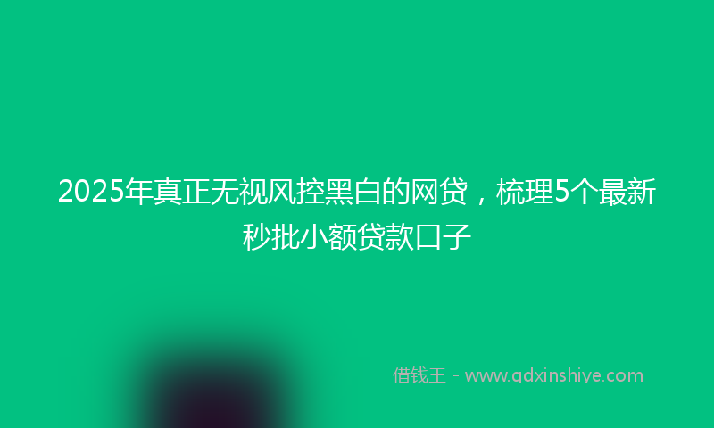 2025年真正无视风控黑白的网贷，梳理5个最新秒批小额贷款口子