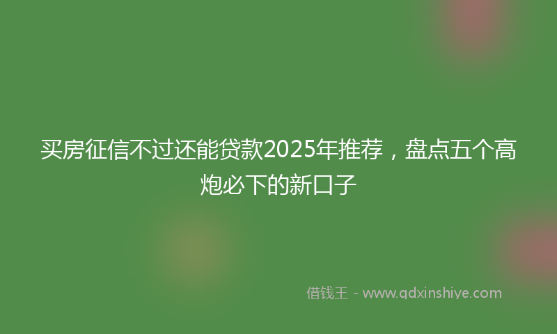 买房征信不过还能贷款2025年推荐，盘点五个高炮必下的新口子