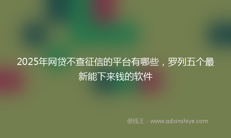 2025年网贷不查征信的平台有哪些，罗列五个最新能下来钱的软件