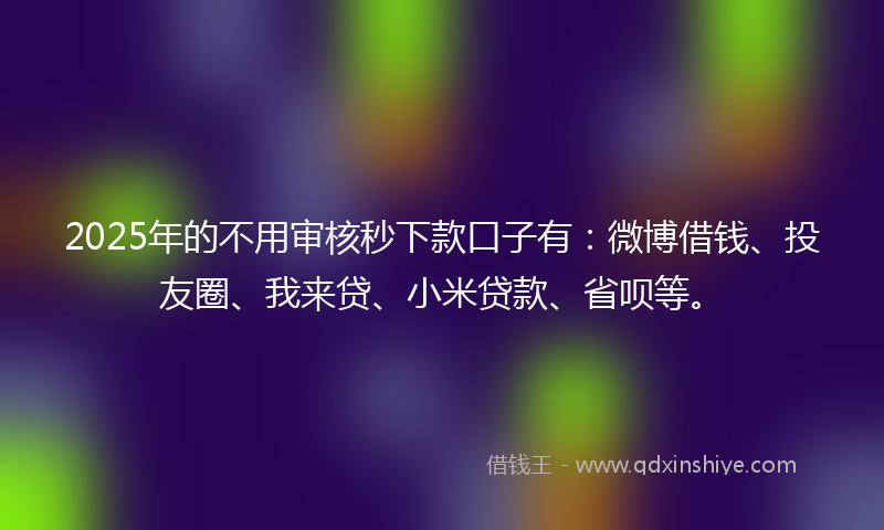 2025年的不用审核秒下款口子有：微博借钱、投友圈、我来贷、小米贷款、省呗等。