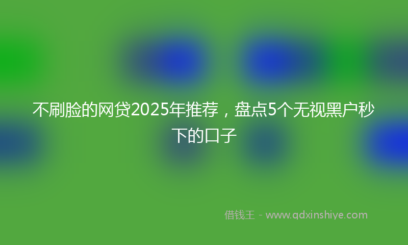 不刷脸的网贷2025年推荐，盘点5个无视黑户秒下的口子