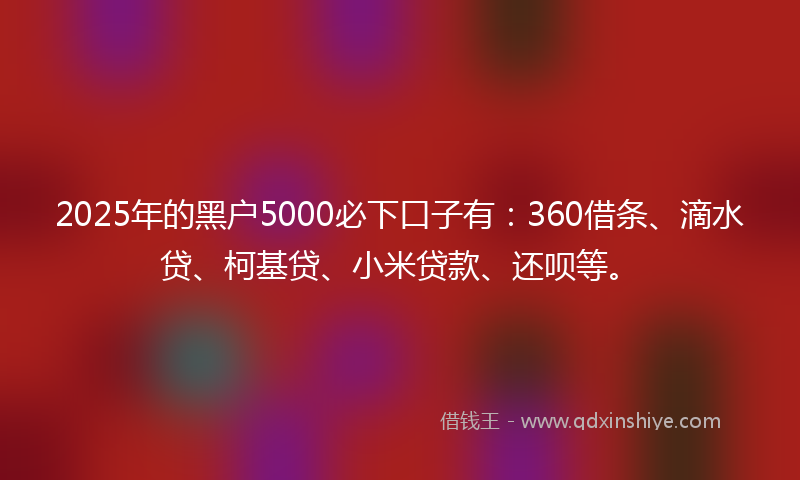 2025年的黑户5000必下口子有：360借条、滴水贷、柯基贷、小米贷款、还呗等。